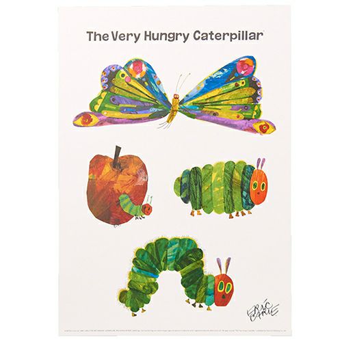 エリック カール B4ポスター Butterfly Ecl 004 キャラクターモール ドリぽけ